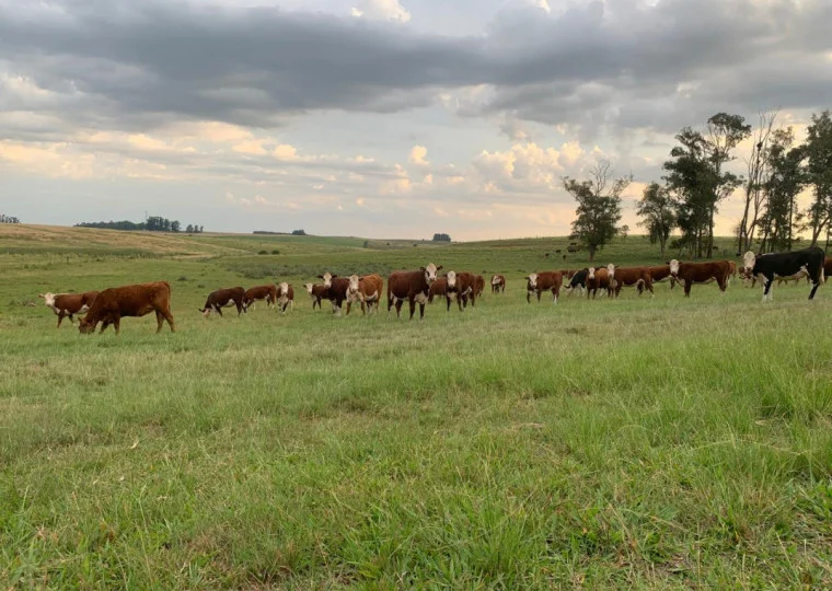 Indústria mais próxima do campo