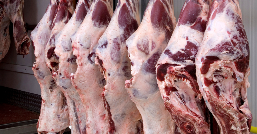 Marrocos suspende tarifa de importação sobre carne bovina até dezembro de 2026