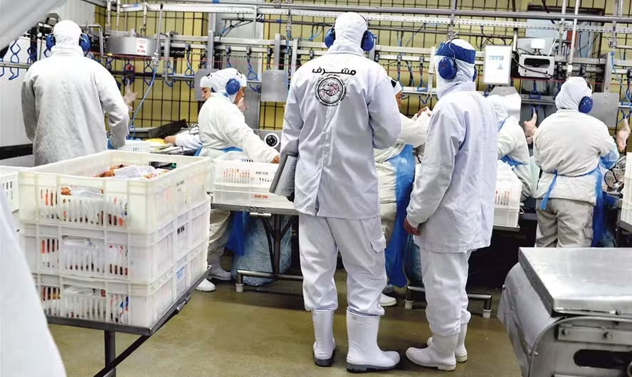Mercado halal se abre ao Brasil para além das ‘commodities’